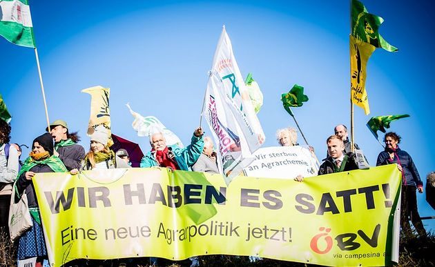 Protest 'Wir haben es satt' beim Agrarminister-Treffen / Dreikönigsaktion