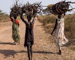 Menschen im Südsudan beim Holzsammeln / UN Photo / JC McIlwaine